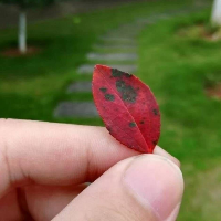 太上问情